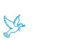 PAZworld cool crazy style brand Sticker