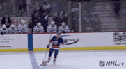 celebrate ice hockey GIF by NHL