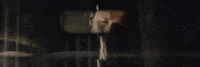 big cat GIF by Domino Recording Co.