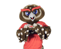 Boca Raton Sticker by Florida Atlantic University