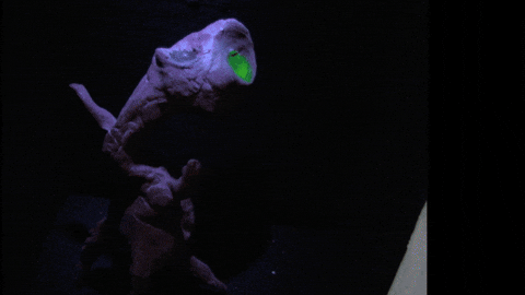 GIF by Carl Knickerbocker