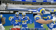 Regular Season Football GIF by NFL