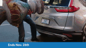 #14daysofblackfriday GIF by NorCal Honda Dealers