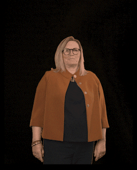 fdpfraktionlsa giphyupload fdplsa ktarricone tarricone GIF