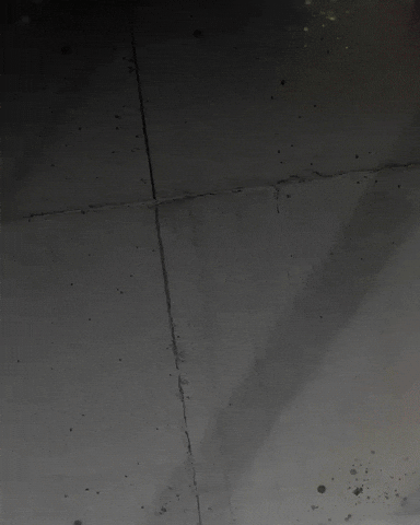 Vasco Da Gama Puma GIF