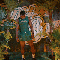 South Florida Horns Up GIF by USF Athletics