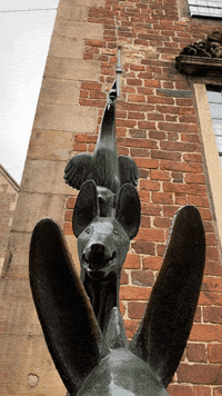 Bremen Hund GIF by Bremermoment