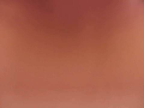 Anthony Edwards Camera Tap