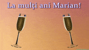 Romania Marian GIF by echilibrultau