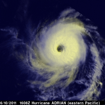 hurricane GIF