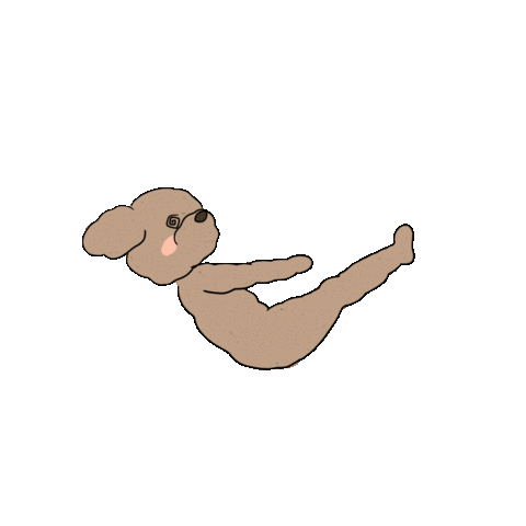 yogiuun giphyupload dog yoga lovely Sticker