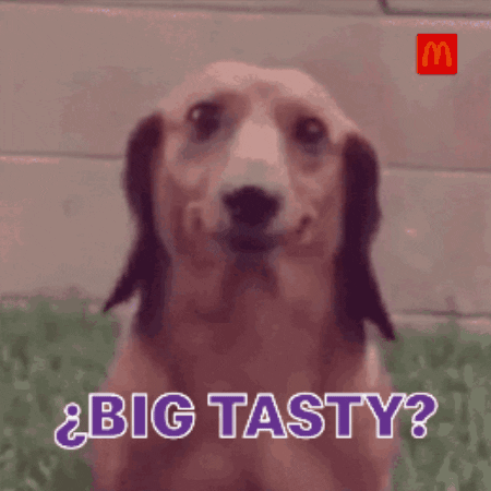 Dogs Puppy GIF by McDonald's Panamá