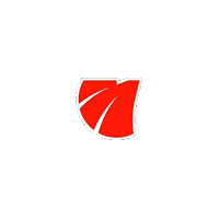 Pneu Sticker by Magnum Tires