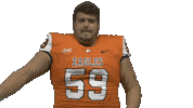 Cnfb Sticker by Carson-Newman Athletics