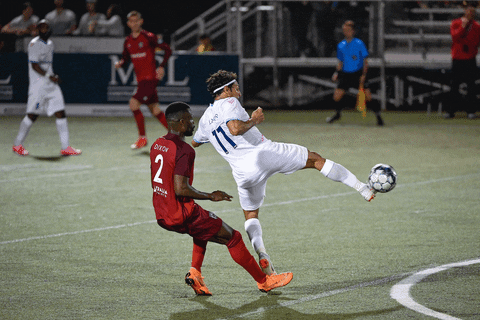 ForwardMadisonFC giphyupload GIF