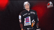 La Roche Sur Yon Simon GIF by Hockey Glace Yonnais