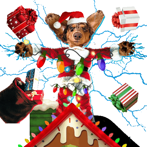 Merry Christmas Sticker by Pimp Yo Pets