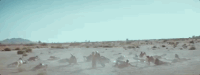 pink pink p!nk what about us GIF