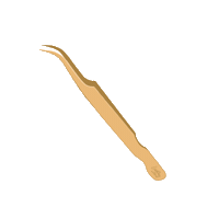 LivBayLash lashes tweezer lash tweezers livbay Sticker
