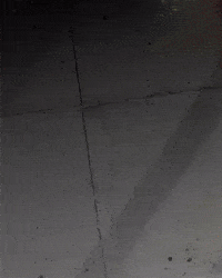 Paulo Henrique Ph GIF