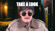 Flashing Look Here GIF
