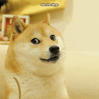 Thug Life Doge GIF