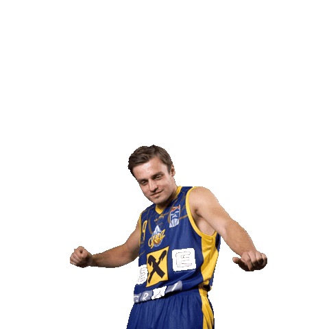 Happy Dance Sticker by Basketball Superliga