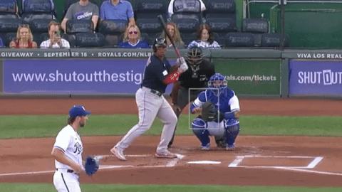 tesstass giphyupload GIF