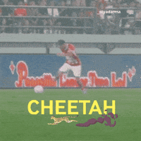 Bali United Cheetah GIF