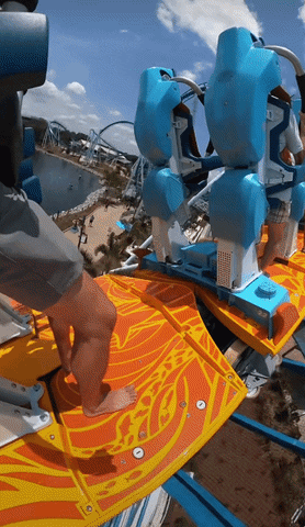 giphyupload GIF