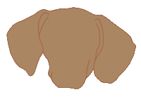 Dachshund Weenie Sticker by WOOF+WEEN
