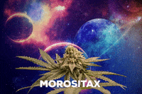 Artgenetix  GIF