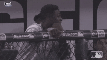 Didi Gregorius Wow GIF by New York Yankees