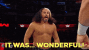 happy matt hardy GIF by WWE