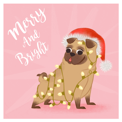 Roxannerainville88  GIF