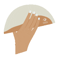 taoca_brazilian_crepes tapioca tapioca flour taoca brazilian crepes Sticker