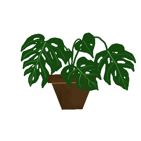 katemichelledesign green plant waving monstera Sticker