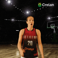 Belgian Cats GIF by EuroMillions Basketball