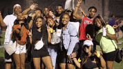 College Dark GIF by Western Illinois University