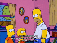 homer simpson GIF