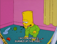 bart simpson episode 10 GIF