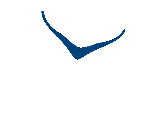 Fly Running Sticker by HOKA Europe