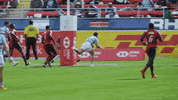 dance fail GIF by World Rugby