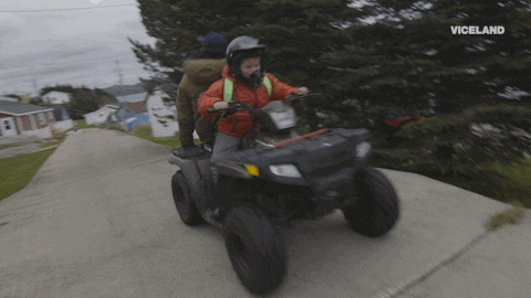 viceland GIF by ABANDONED