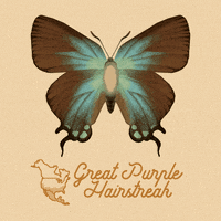 art illustration GIF by NeonMob