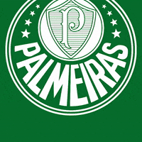 Palmeiras music soccer rock guitar GIF