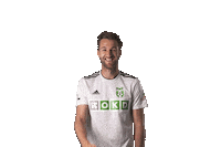 Fl Karvina Sticker by FORTUNA:LIGA