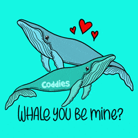 Love You Water GIF by Coddies