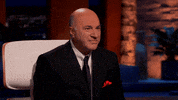 Shark Tank Smile GIF by ABC Network