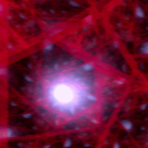 visualization GIF
